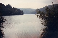 30.jpg  30